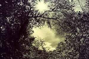 A felhőd repít a NAPhoz, a fénybe Eugene Ladányi photos and videos