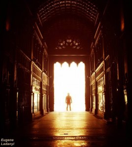 Új élet... Eugene Ladányi photos