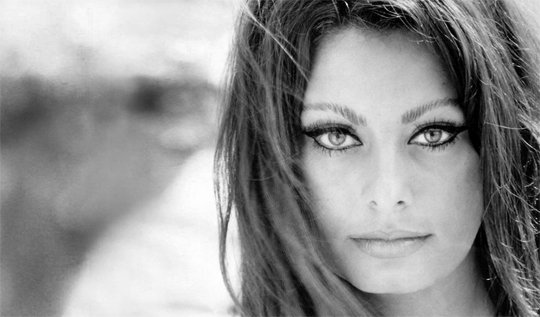 sophia-loren-new-book-2014-biography-yesterday-today-tomorrow-horizontal